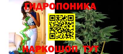 кокс Малгобек