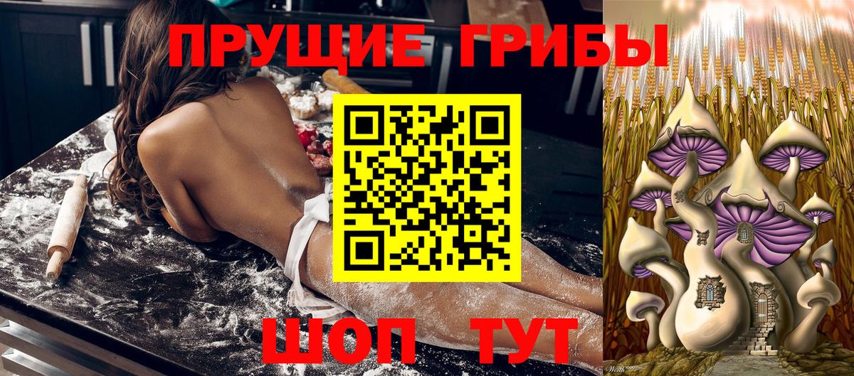 Псилоцибиновые грибы Cubensis Гай