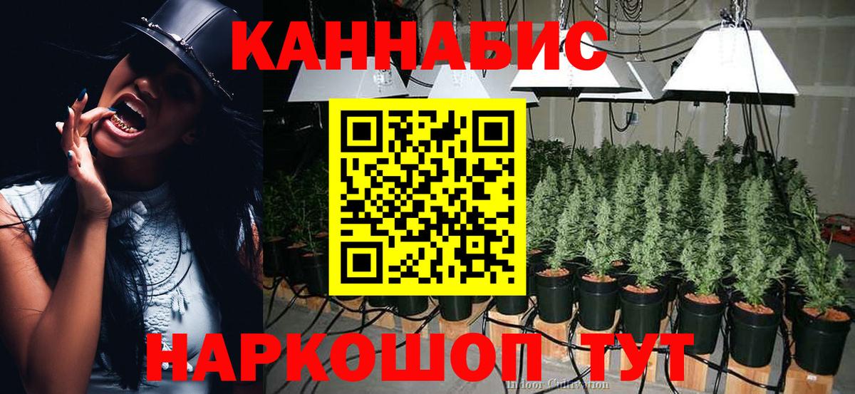 Шишки марихуана VHQ Гай